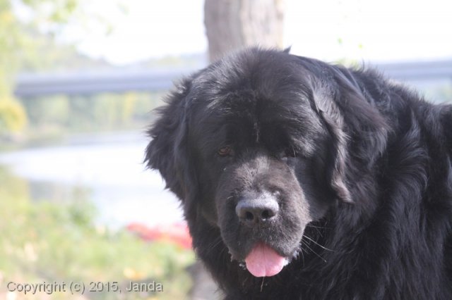 Zamykání vody 2015